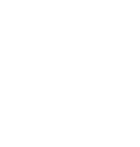 lettera N logo ANTS