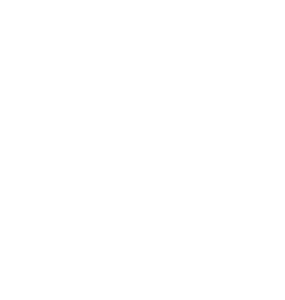 lettera T logo ANTS